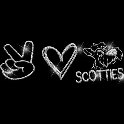 GLT86 SILVER GLITTER Thumbnail