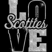 GLT74 SILVER GLITTER Thumbnail