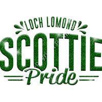 GLT62 GREEN GLITTER Thumbnail